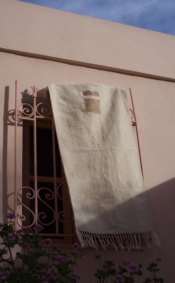 Dawn on the Grass